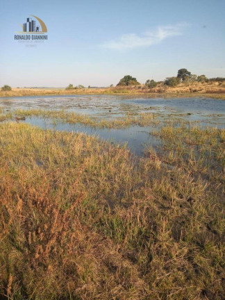 Imagem Fazenda à Venda, 15.294.400 m² em Centro - Assis