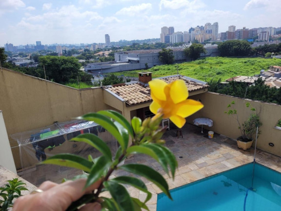 Imagem Sobrado com 5 Quartos à Venda, 506 m² em Jardim Peri Peri - São Paulo Imagem Sobrado com 5 Quartos à Venda, 506 m² em Jardim Peri Peri - São Paulo