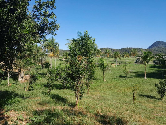 Terreno à Venda,  em Cotia - Guapimirim