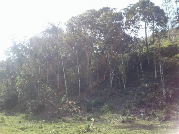 Imagem Terreno em Condomínio à Venda, 300 m² em Sertão Da Quina - Ubatuba Imagem Terreno em Condomínio à Venda, 300 m² em Sertão Da Quina - Ubatuba