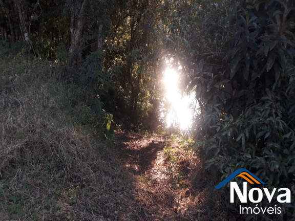Imagem Imóvel à Venda, 60.000 m² em Linha Riachuelo - Nova Petrópolis Imagem Imóvel à Venda, 60.000 m² em Linha Riachuelo - Nova Petrópolis