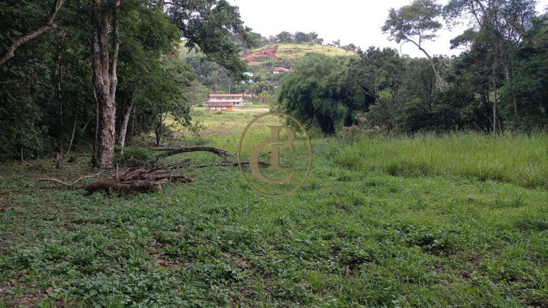 Imagem Chácara com 3 Quartos à Venda, 80.000 m² em Buquirinha - São José Dos Campos Imagem Chácara com 3 Quartos à Venda, 80.000 m² em Buquirinha - São José Dos Campos