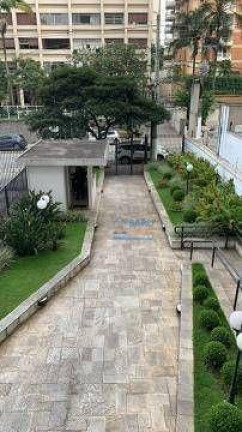 Imagem Apartamento com 4 Quartos à Venda, 263 m² em Perdizes - São Paulo Imagem Apartamento com 4 Quartos à Venda, 263 m² em Perdizes - São Paulo