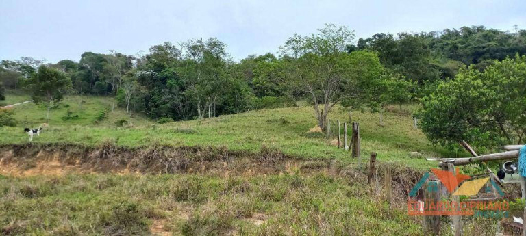 Imagem Imóvel à Venda, 31.000 m² em Capim Da Angola - Paraibuna