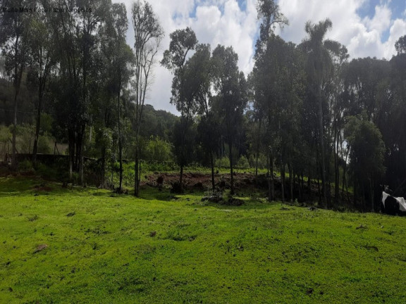 Imagem Terreno à Venda, 2 m² em Linha Imperial - Nova Petrópolis Imagem Terreno à Venda, 2 m² em Linha Imperial - Nova Petrópolis