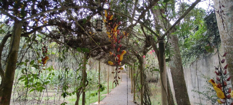 Imagem Casa de Condomínio com 2 Quartos à Venda, 87 m² em Jardim Colibri - Cotia Imagem Casa de Condomínio com 2 Quartos à Venda, 87 m² em Jardim Colibri - Cotia