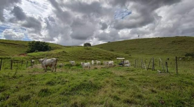 Imagem Imóvel à Venda, em área Rural - Macaé Imagem Imóvel à Venda, em área Rural - Macaé