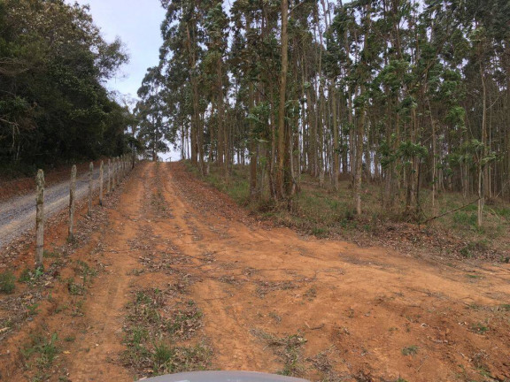 Imagem Chácara à Venda, 24.200 m² em Piedade Imagem Chácara à Venda, 24.200 m² em Piedade
