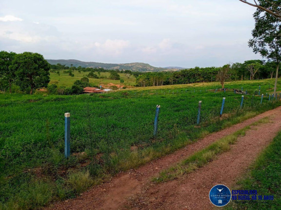 Imagem Chácara à Venda, 8 m² em Zona Rural - Corumbaíba Imagem Chácara à Venda, 8 m² em Zona Rural - Corumbaíba