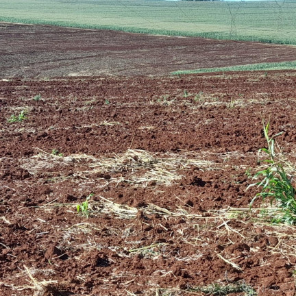Imagem Fazenda à Venda, 14.157.000 m² em água Das Abóboras - Ibiporã Imagem Fazenda à Venda, 14.157.000 m² em água Das Abóboras - Ibiporã