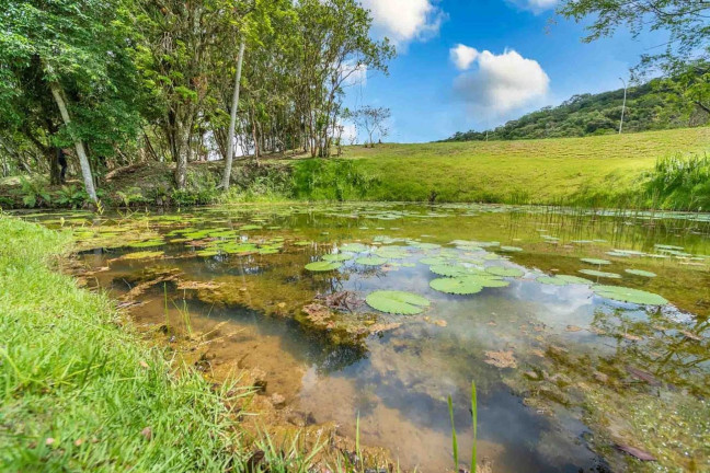 Imagem Terreno à Venda, 1.197 m² em Rio Do Meio - Camboriú