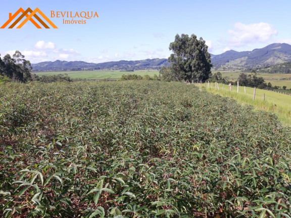 Imagem Terreno à Venda, 6 m² em Costa De Baixo - Imarui