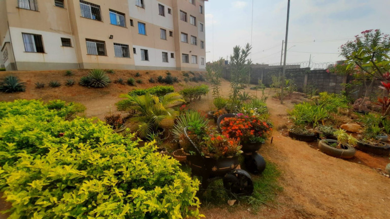 Imagem Apartamento com 2 Quartos à Venda, 42 m² em Solar Do Barreiro,(barreiro) - Belo Horizonte