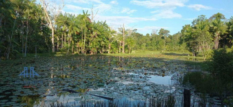 Imagem Fazenda à Venda, 2.190.000 m² em Alça Viaria - Acará Imagem Fazenda à Venda, 2.190.000 m² em Alça Viaria - Acará
