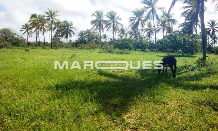 Imagem Imóvel à Venda, 34 m² em Centro - Conde