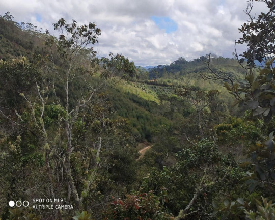 Imagem Imóvel à Venda, 2.500.000 m² em Fazenda Bela Vista - Nova Friburgo