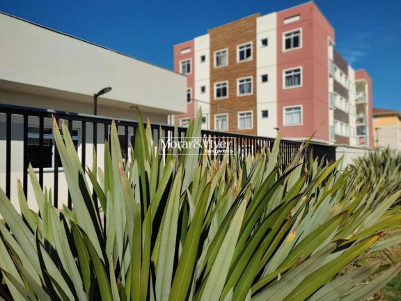 Imagem Apartamento com 2 Quartos à Venda, 44 m² em Cidade Jardim - São José Dos Pinhais