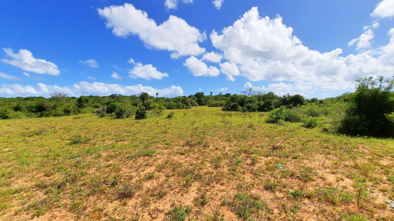 Imagem Fazenda à Venda, 900.000 m² em Centro - Viamão Imagem Fazenda à Venda, 900.000 m² em Centro - Viamão