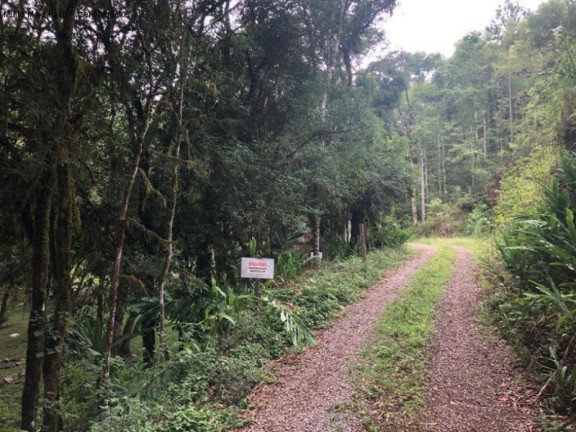 Imagem Imóvel com 2 Quartos à Venda, 80 m² em Linha Pirajá Baixa - Nova Petrópolis