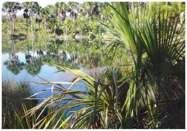 Imagem Fazenda à Venda, 777 m² em Rural - Lizarda Imagem Fazenda à Venda, 777 m² em Rural - Lizarda