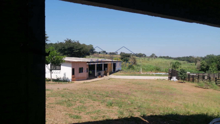 Imagem Fazenda à Venda, 22 m² em Roque - Pirassununga Imagem Fazenda à Venda, 22 m² em Roque - Pirassununga