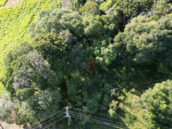 Imagem Terreno à Venda, 375 m² em Boqueirão - Guarapuava Imagem Terreno à Venda, 375 m² em Boqueirão - Guarapuava