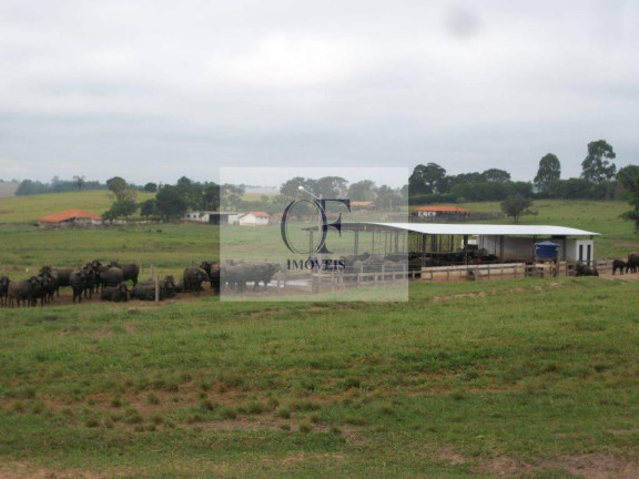 Imagem Fazenda à Venda, 297 m² em Rural - Santana Do Itararé