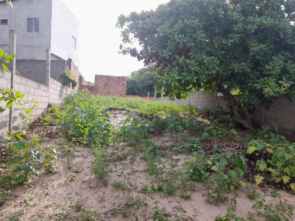 Imagem Terreno à Venda, 210 m² em Praia Da Pipa - Tibau Do Sul Imagem Terreno à Venda, 210 m² em Praia Da Pipa - Tibau Do Sul