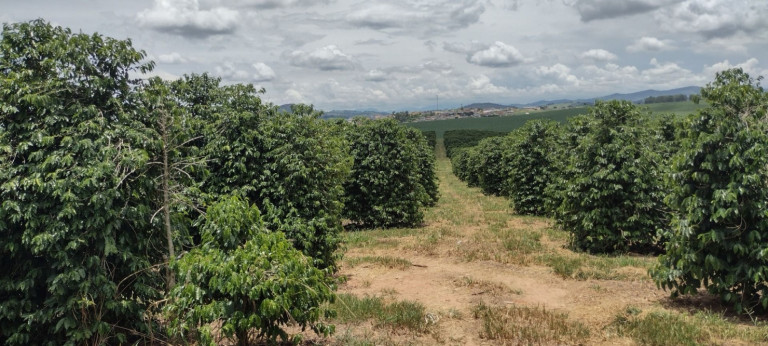 Imagem Fazenda à Venda, 150 m² em Centro - Conceição Do Rio Verde Imagem Fazenda à Venda, 150 m² em Centro - Conceição Do Rio Verde