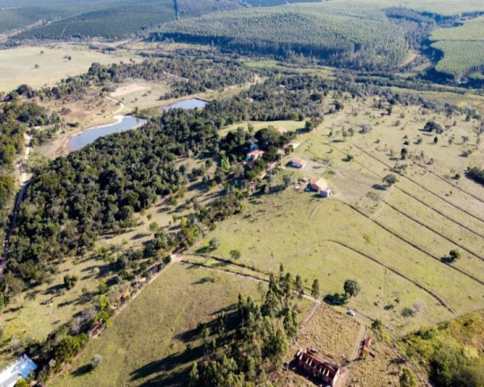 Imagem Chácara à Venda, 5.000 m² em Vale Da Castelo - Pardinho Imagem Chácara à Venda, 5.000 m² em Vale Da Castelo - Pardinho
