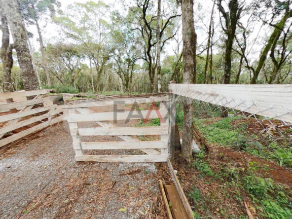 Imagem Fazenda à Venda, 20.000 m² em Jordão - Guarapuava Imagem Fazenda à Venda, 20.000 m² em Jordão - Guarapuava