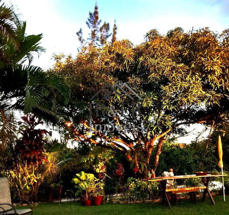 Imagem Chácara com 4 Quartos à Venda, 220 m² em Barra Do Pojuca (monte Gordo) - Camaçari