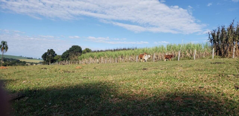 Imagem Chácara com 2 Quartos à Venda, 118 m² em Zona Rural - Angatuba Imagem Chácara com 2 Quartos à Venda, 118 m² em Zona Rural - Angatuba