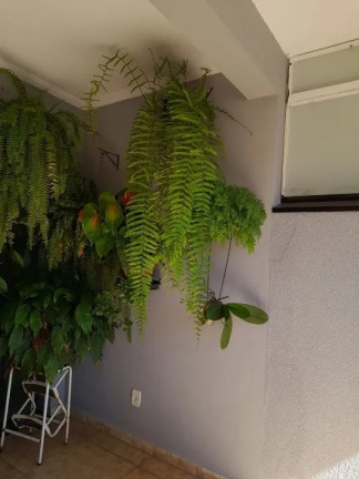 Imagem Casa com 3 Quartos à Venda, 107 m² em Horto Florestal - Sorocaba