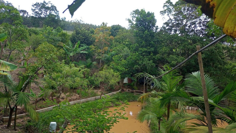 Imagem Chácara com 1 Quarto à Venda, 3 m² em Bairro Do Funíl - Piedade Imagem Chácara com 1 Quarto à Venda, 3 m² em Bairro Do Funíl - Piedade