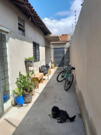 Imagem Casa com 3 Quartos à Venda, 300 m² em Jardim Roberto Selmi Dei - Araraquara Imagem Casa com 3 Quartos à Venda, 300 m² em Jardim Roberto Selmi Dei - Araraquara