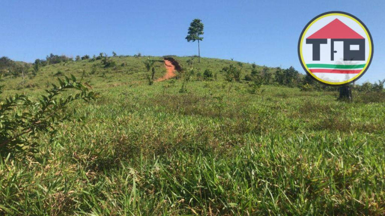 Imagem Fazenda à Venda, 8.131.200 m² em Logradouro Sem Nome, Novo Repartimento - Pa, 68473-000, Brasil -4.759492, -49.588326 - Novo Repartimento Imagem Fazenda à Venda, 8.131.200 m² em Logradouro Sem Nome, Novo Repartimento - Pa, 68473-000, Brasil -4.759492, -49.588326 - Novo Repartimento