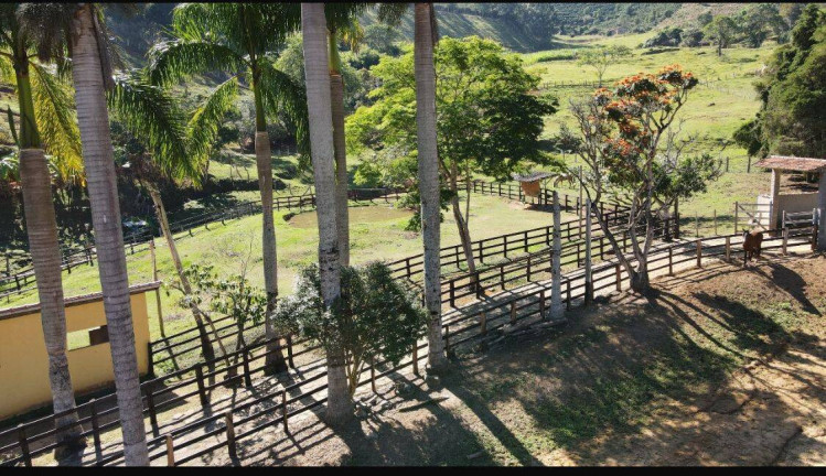 Imagem Chácara com 6 Quartos à Venda, 150.000 m² em Monte Belo - Santa Rita Do Sapucaí Imagem Chácara com 6 Quartos à Venda, 150.000 m² em Monte Belo - Santa Rita Do Sapucaí