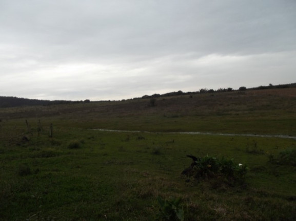 Imagem Chácara com 1 Quarto à Venda, 108.000 m² em Itapuã - Viamão Imagem Chácara com 1 Quarto à Venda, 108.000 m² em Itapuã - Viamão