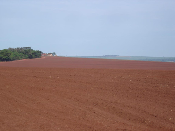 Imagem Imóvel à Venda, 340 m² em Presidente Prudente - Zona Rural - Presidente Prudente
