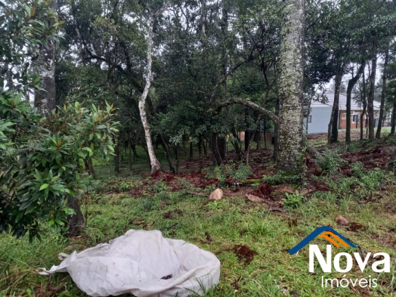 Imagem Imóvel à Venda, 811 m² em Vila Germânia - Nova Petrópolis Imagem Imóvel à Venda, 811 m² em Vila Germânia - Nova Petrópolis