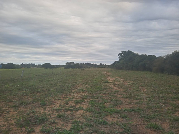 Imagem Chácara com 2 Quartos à Venda, 20.000 m² em águas Claras - Viamão