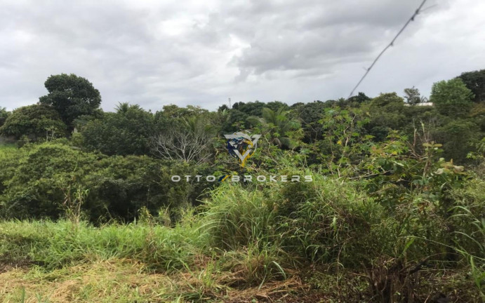Imagem Terreno à Venda, 7.500 m² em Tânia - Santa Cruz Cabrália