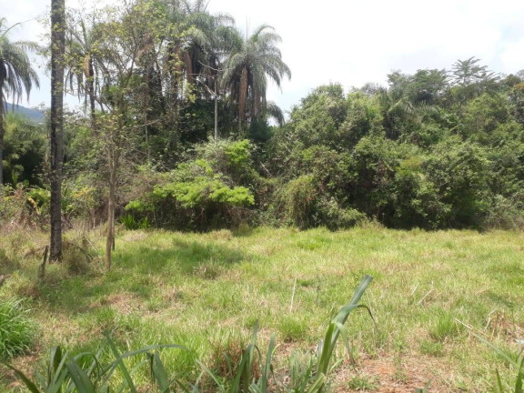 Imagem Terreno à Venda, 4.000 m² em Santa Terezinha De Minas - Itatiaiuçu Imagem Terreno à Venda, 4.000 m² em Santa Terezinha De Minas - Itatiaiuçu