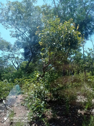 Imagem Imóvel à Venda,  em Caxias/ma - Caxias