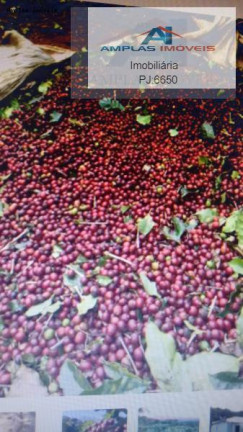 Imagem Fazenda à Venda, 35 m² em Manhumirim