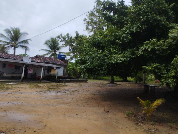 Imagem Chácara com 3 Quartos à Venda, 6.000 m² em Conde Imagem Chácara com 3 Quartos à Venda, 6.000 m² em Conde