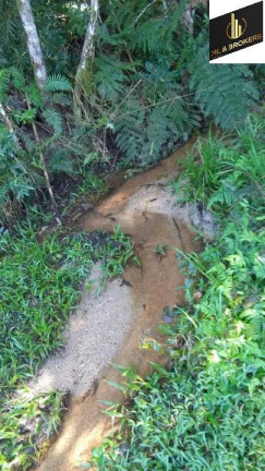 Imagem Imóvel com 2 Quartos à Venda, 24.200 m² em Lagoa Dos Ferreira - Mandirituba Imagem Imóvel com 2 Quartos à Venda, 24.200 m² em Lagoa Dos Ferreira - Mandirituba