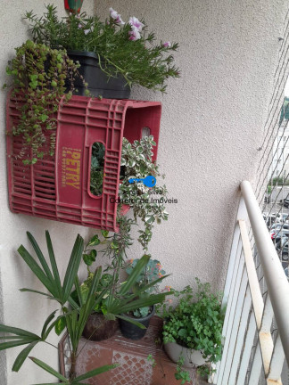 Imagem Apartamento com 2 Quartos à Venda, 47 m² em Panorama (polvilho) - Cajamar