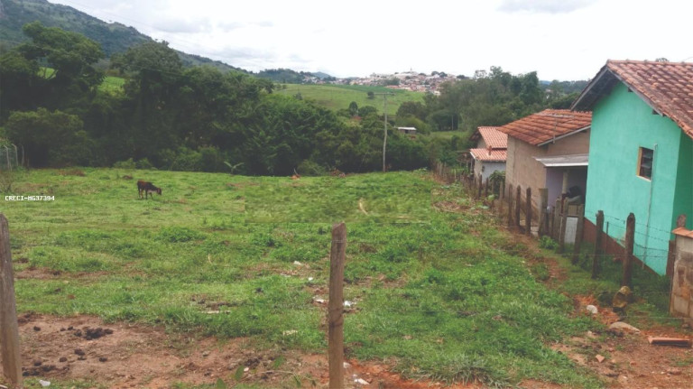 Imagem Chácara à Venda, 3.000 m² em Maranhão - Caldas Imagem Chácara à Venda, 3.000 m² em Maranhão - Caldas